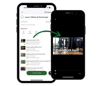 Custom 6 Week Training & Nutrition Program